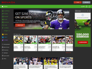 Bovada