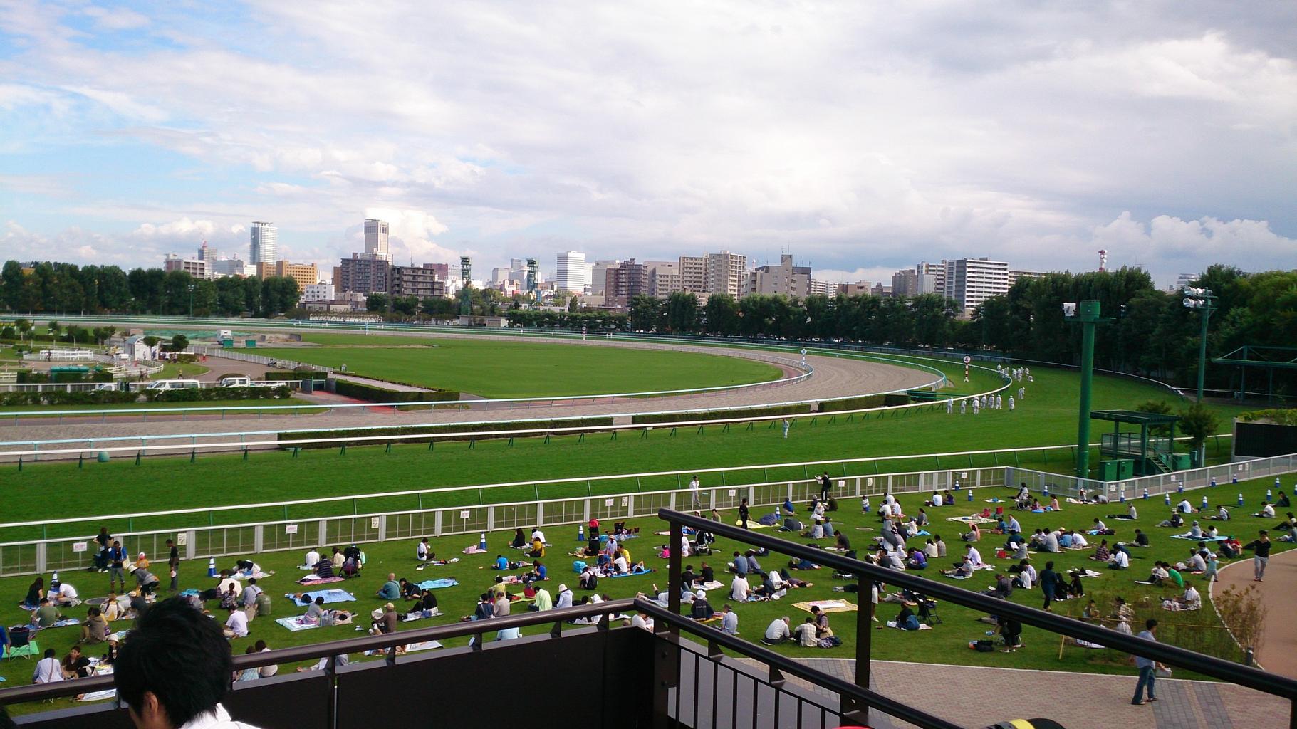 Pegasus World Cup Cyberknife sharp