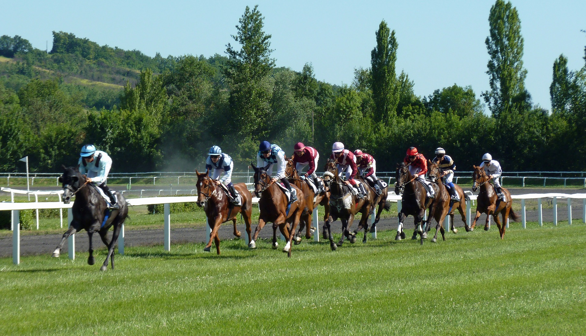 Added ground suits Soulcombe well for the 2023 Melbourne Cup