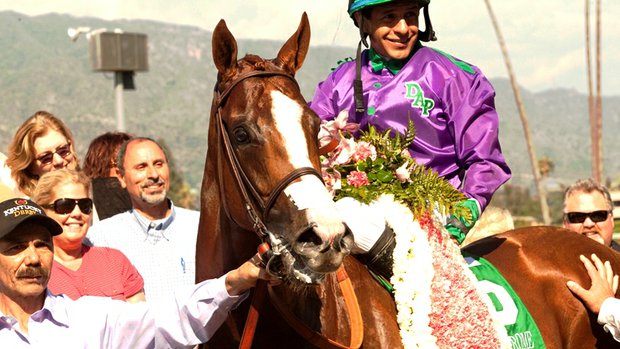 California Chrome wins Santa Anita