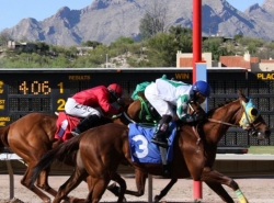 Arizona Horse Racing