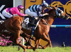 Bet on The Caulfield Guineas