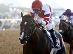 Bet on The Del Mar Debutante