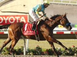 Bet on The Del Mar Futurity