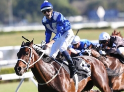 Bet on The Epsom Handicap