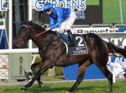 Bet on The Golden Rose Stakes