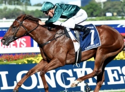 Bet on The Golden Slipper Stakes