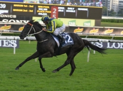 Bet on The Queen Elizabeth Stakes