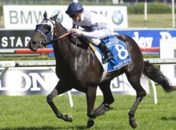 Bet on The Sire Produce Stakes