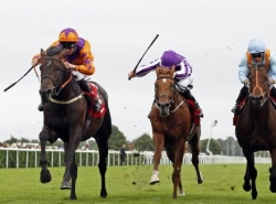 Bet on The St. Leger Stakes