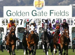 California Horse Racing