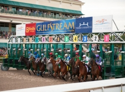 Florida Horse Racing