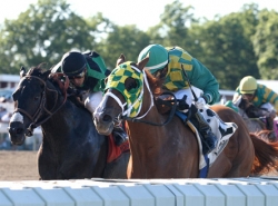 Bet on The Haskell Invitational Handicap