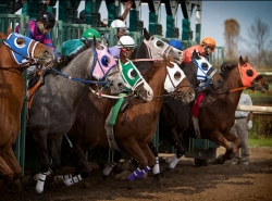 Illinois Horse Racing