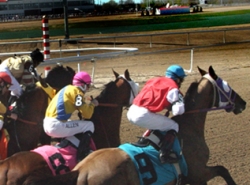 Indiana Horse Racing