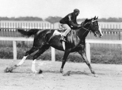 Kentucky Derby Winners of The 1900s