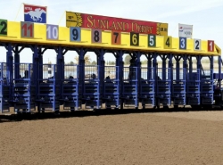 New Mexico Horse Racing