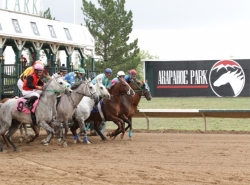 Off Track Betting Locations in Colorado