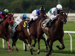 Off Track Betting Locations in Pennsylvania