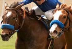 $100,000 California Distaff Handicap Draws Eleven Fillies And Mares