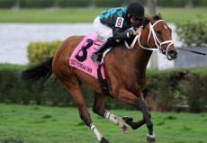 $100,000 Fasig-Tipton De La Rose Stakes Draws Full Field of Twelve