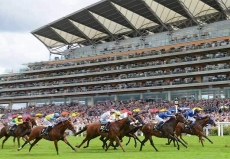 2020 Royal Ascot Betting Picks