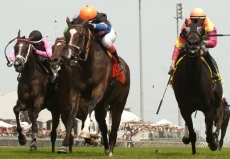 $300,000 Canadian Stakes Features Champion Strut The Course