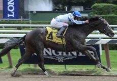 $400,000 Fountain of Youth Stakes Features Eight Kentucky Derby Hopefuls