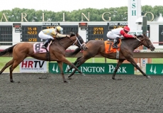 $50,000 Bruce D. Memorial Starts Stakes Bonanza at Arlington