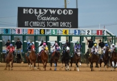 $50,000 Fancy Buckles Stakes Draws Field of Eight