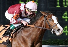 $60,000 Woodchopper Stakes Draws Field of Ten