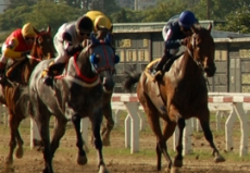 Seven Set For $750,000 Del Cap