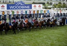 Ageless Takes on Six Rivals in Grade 3 Royal North Stakes