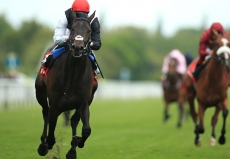 Arc Winner Golden Horn (GB) Facing Eleven in $3 Million Breeders' Cup Turf