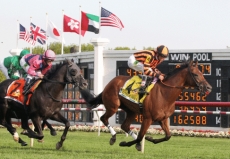 Arlington Million Picks And Preview