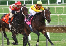 Belmont Stakes Bets: Piecing Together The Logic