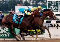 Belmont Stakes Expert Predictions