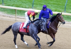 Breeders' Cup 2020 Betting Picks