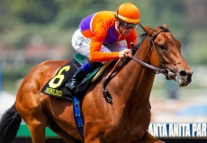 Champion Beholder Back on Track For Breeders' Cup Classic