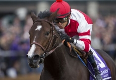 Champion Songbird The Overwhelming Favorite in $100,000 San Ysabel Stakes