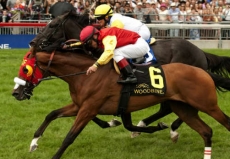 Deceptive Vision Tops Field For $200,000 Nassau Stakes