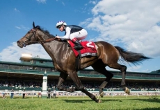 Diana Stakes Picks And Preview