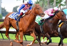 Dortmund Towers Over Field in $1 Million Santa Anita Derby