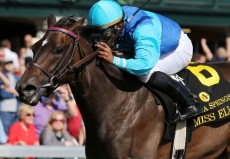 Enchanting Lady Wheels Back For $150,000 Miss Preakness Stakes