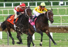 Familiar Names Compete in $500,000 Ohio Derby