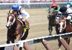 Fashion Alert Takes On Twelve in $400,000 Alcibiades Stakes