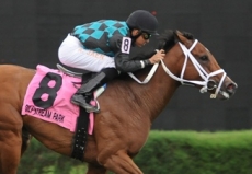 Field of Ten Set For $100,000 Perfect Sting Stakes