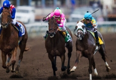 Firing Line Shooting For a Big One in $800,000 Sunland Derby