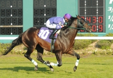 Full Field Set For $75,000 Silks Run Stakes