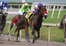 Haskell Invitational Stakes Picks And Preview